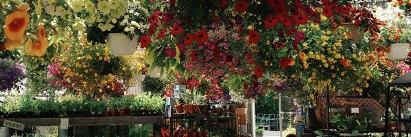 Янчеллааааблятъ banner