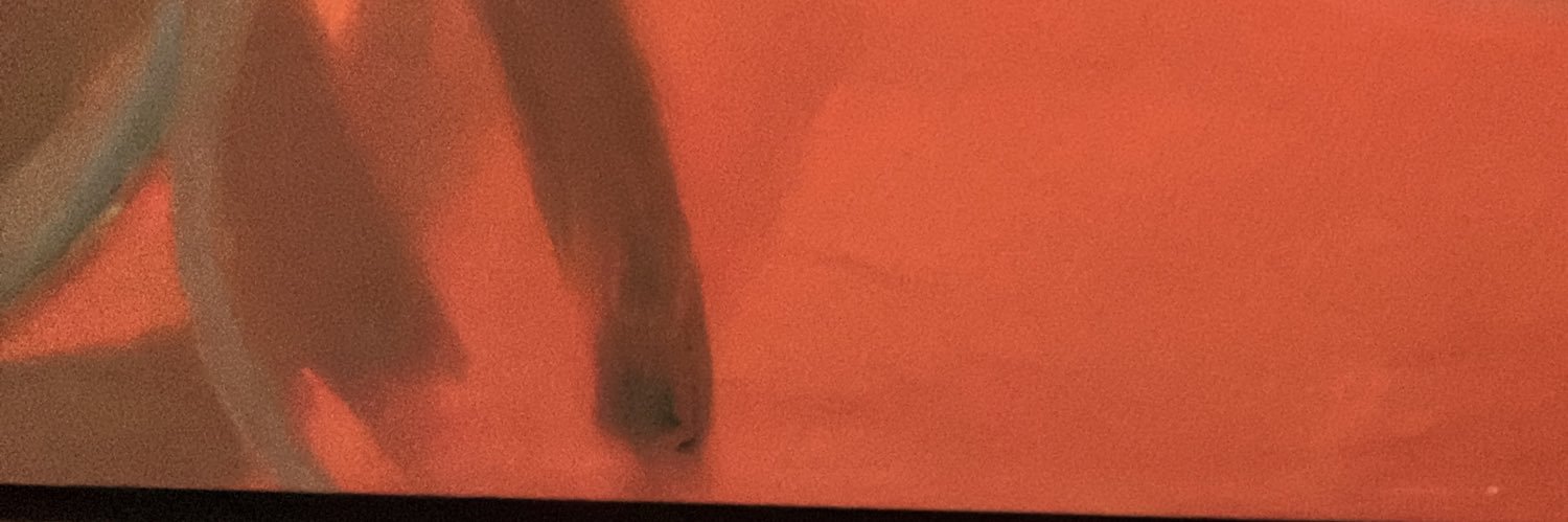 schtod's profile banner image