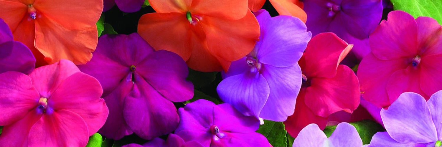 AnetteBishun's profile banner image