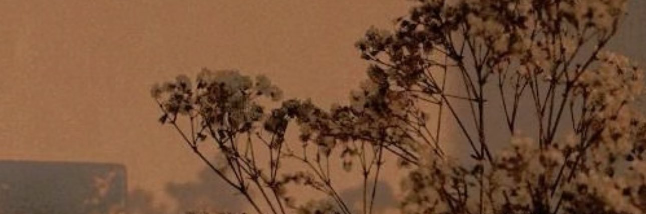 aleynasopea's profile banner image