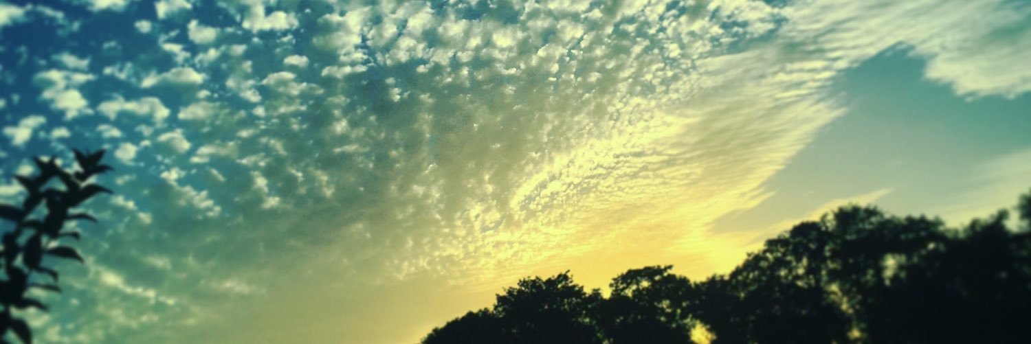 AlessandroRipa's profile banner image