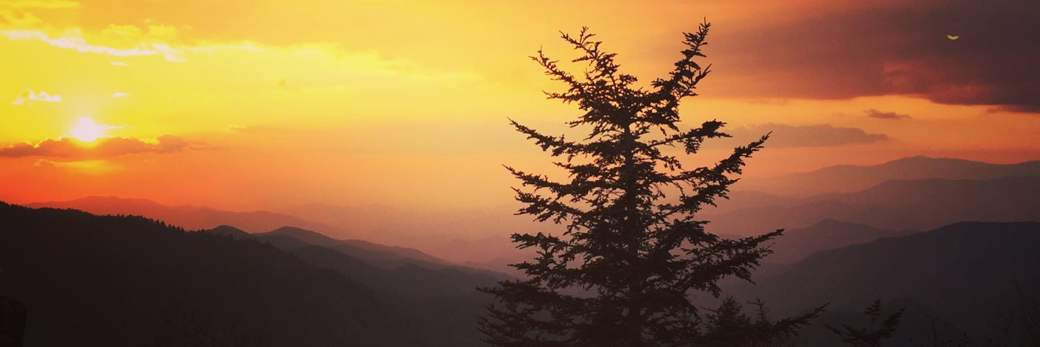 realBoElliott's profile banner image