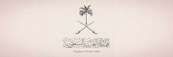 liiille_ Profile Banner