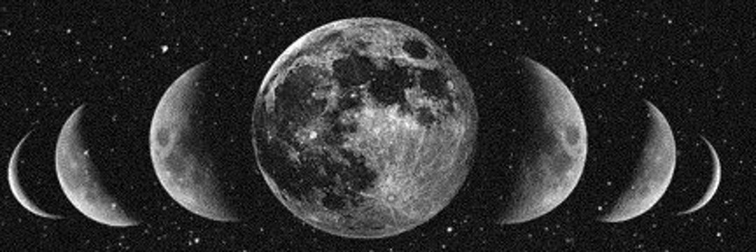 stalkeamena's profile banner image