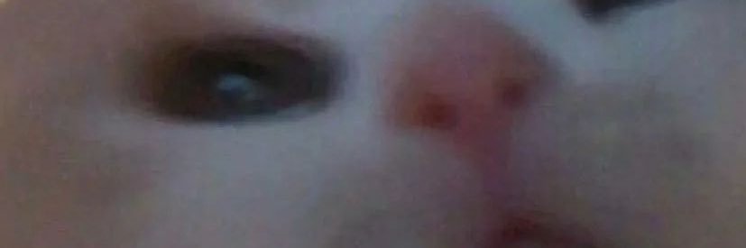 kanaa_o7's profile banner image