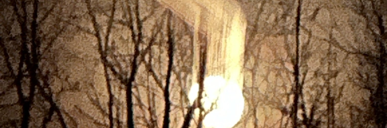 Adam Wayne's banner