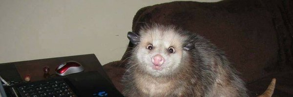 cryptidbaby Profile Banner