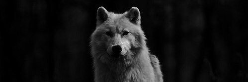 xA9ly's profile banner image