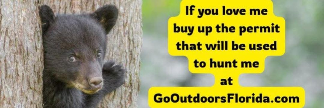 Karen Coney Coplin ☮️ 🌊✨🌴 banner