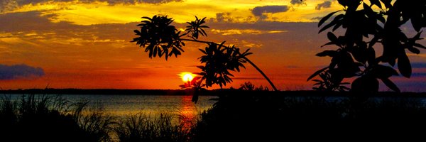 GeunesRichard Profile Banner