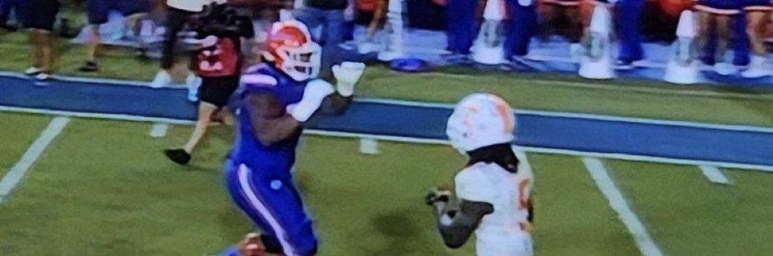 Bushido Boose banner