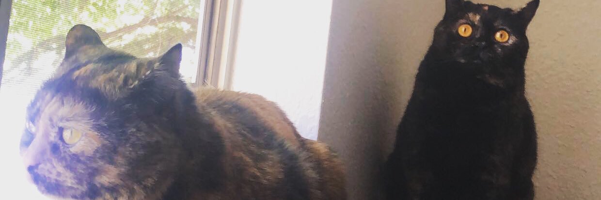 MellaElla1789's profile banner image