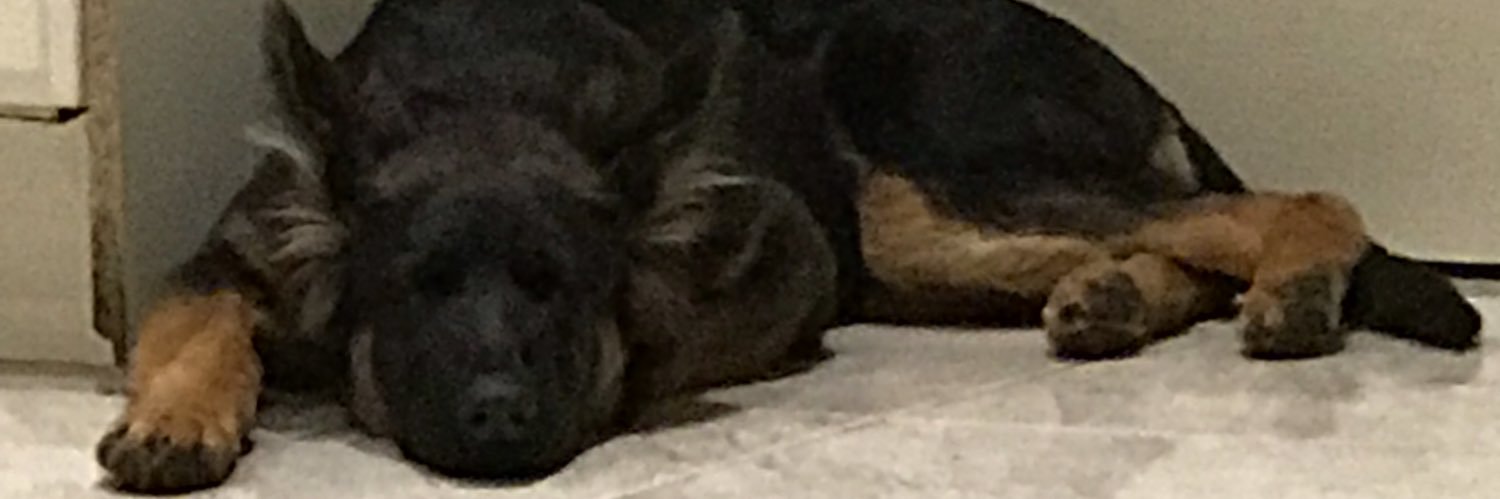 kenthinblueline's profile banner image
