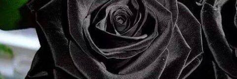 jrcameron166's profile banner image