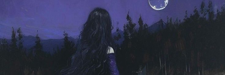 faileasnina's profile banner image