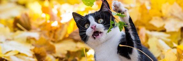 olegumn's profile banner image