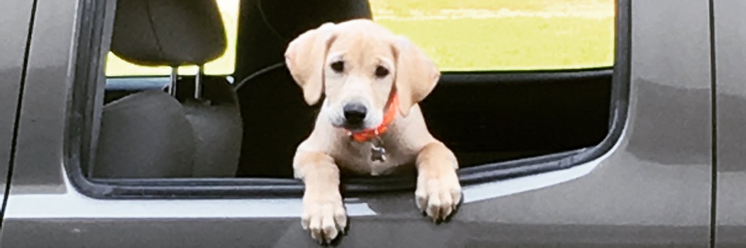 LAltaffer's profile banner image