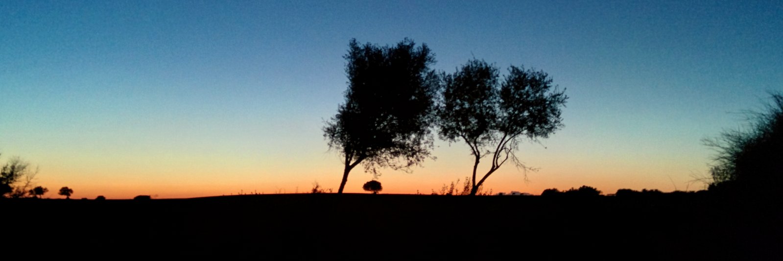 Ammenicolo's profile banner image