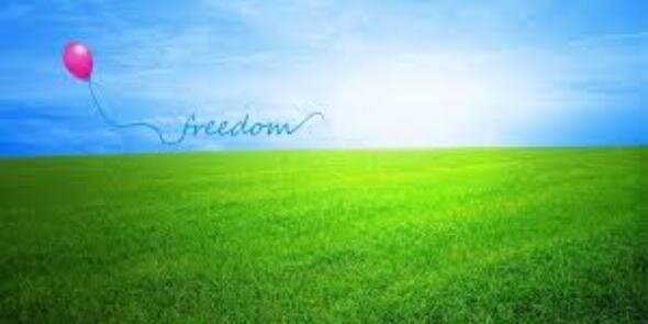 eka tkeshelashvili banner