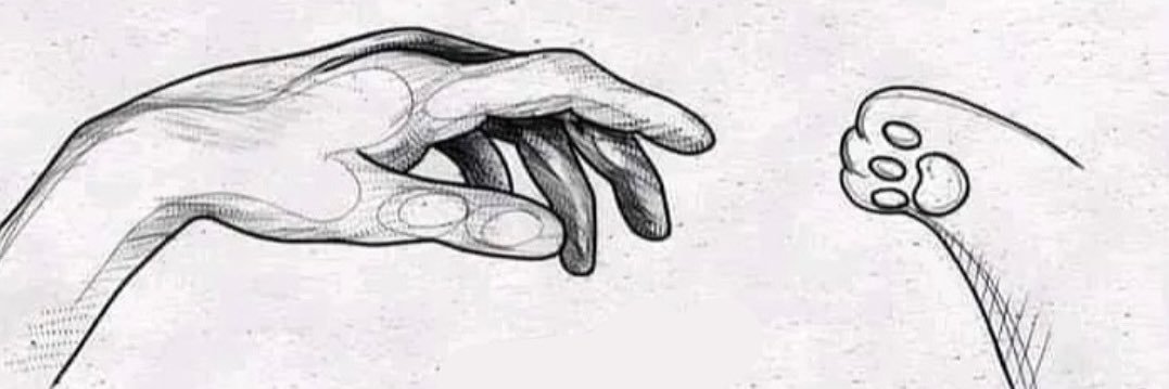 farah_k31's profile banner image