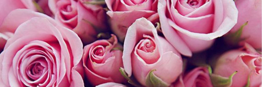 ptb_xoxo's profile banner image