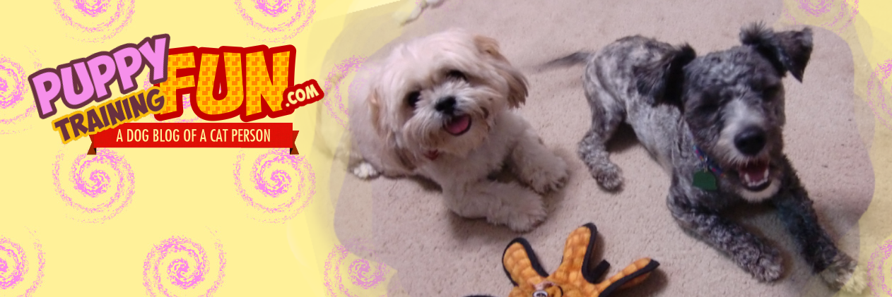 dogtrainingfun's profile banner image
