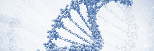 SynBIC Profile Banner