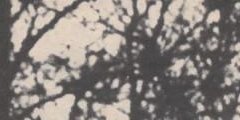 lloydwilliamsAR's profile banner image