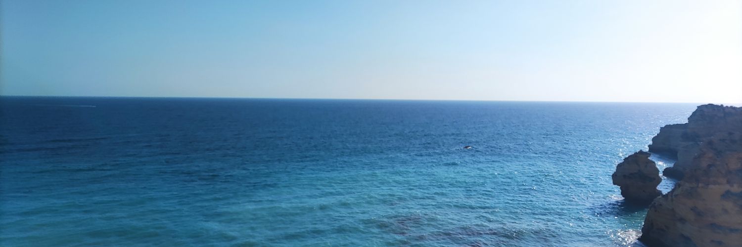 matildecaraball's profile banner image