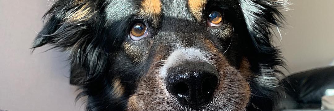 laurencutforth's profile banner image