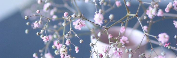 _manal_99's profile banner image