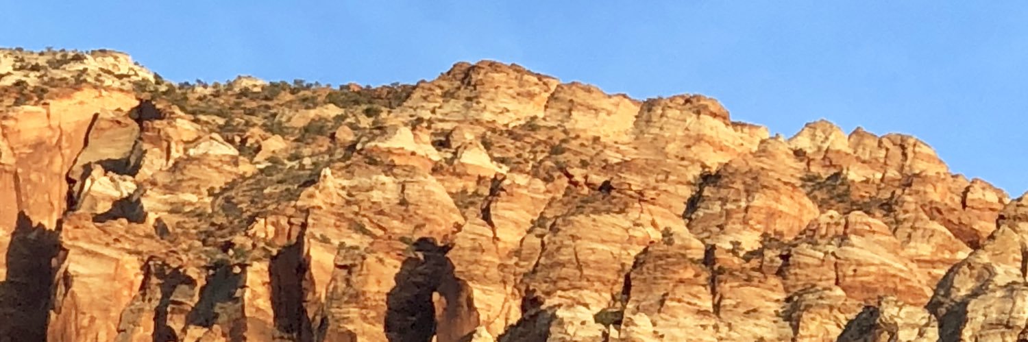 Mibgo's profile banner image