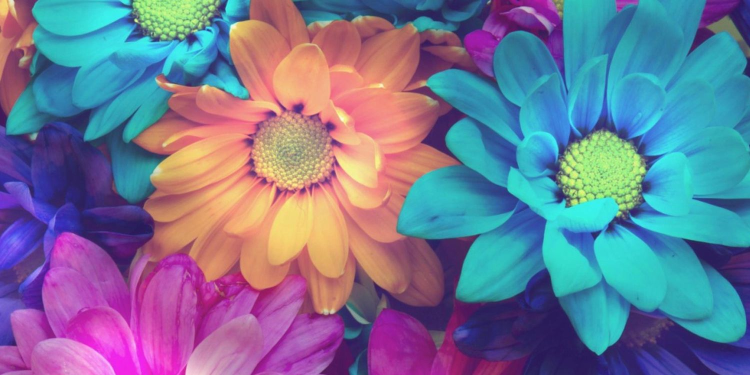 VIctORiaX2012's profile banner image