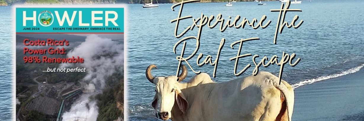 Terry Lee Carlile banner