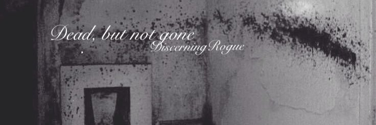 DiscerningRogue's profile banner image