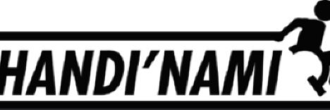 Handi'namique banner
