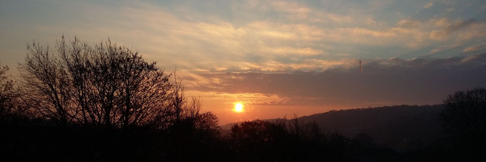 Charmain Jones banner