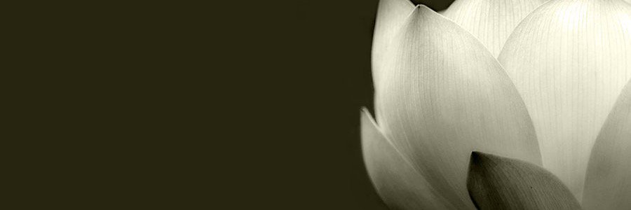 virginieraclet's profile banner image
