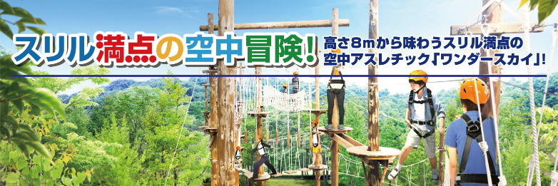 WonderSky55's profile banner image
