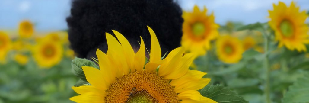 iamjassierra's profile banner image