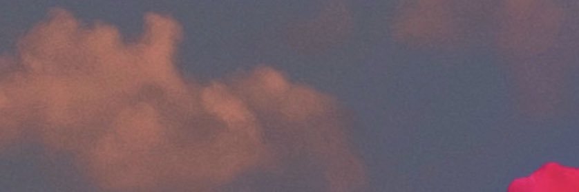 fiorellasteph's profile banner image