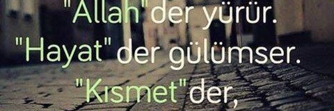 YesilogluFatma's profile banner image