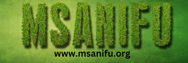 Msanifu01's profile banner image