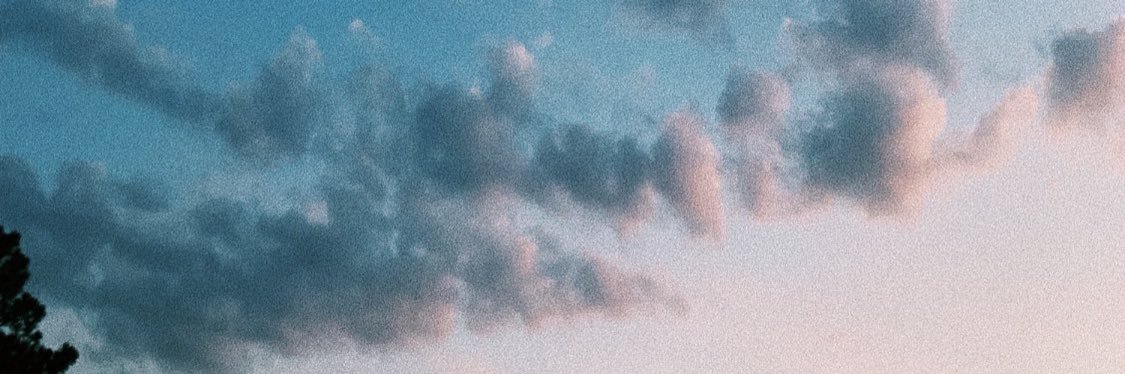 MiamiMaddie's profile banner image