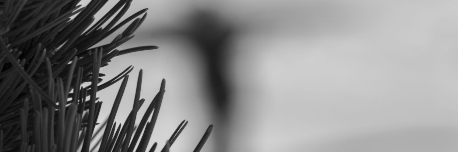 Angver22's profile banner image