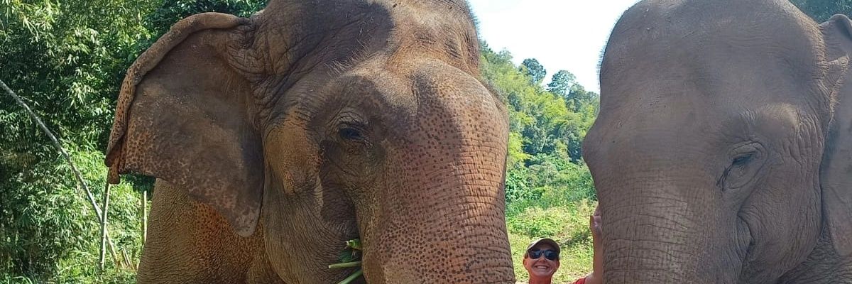 graciel98's profile banner image
