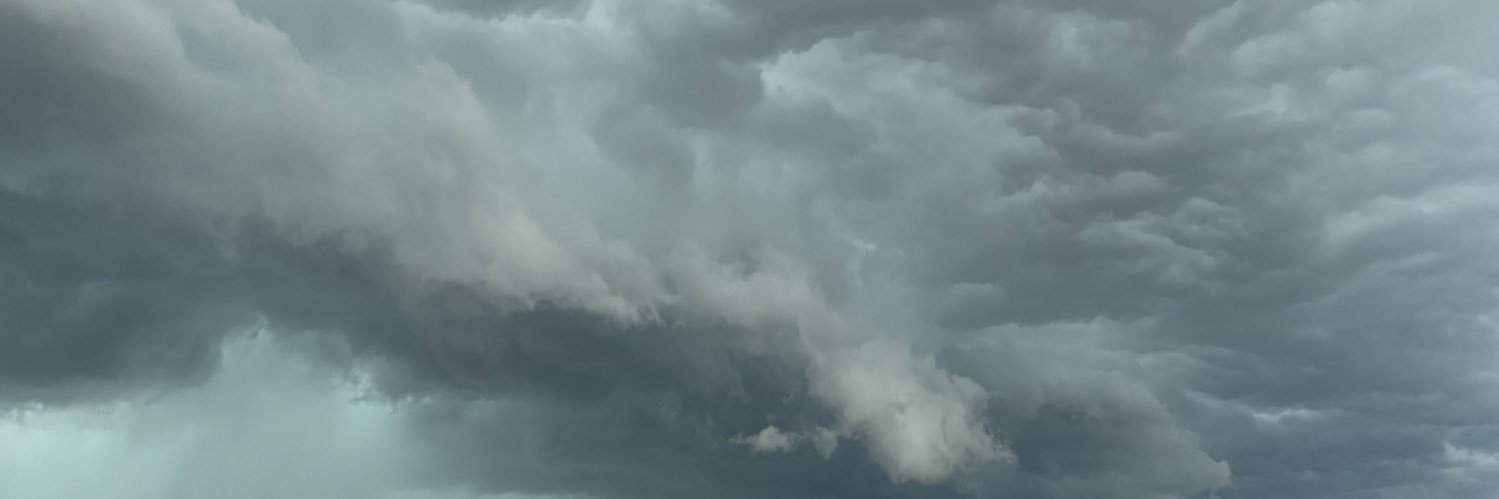 definitelynofan's profile banner image