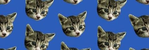 001roddy's profile banner image