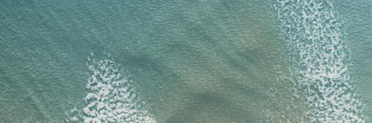PatriciaJHoward's profile banner image