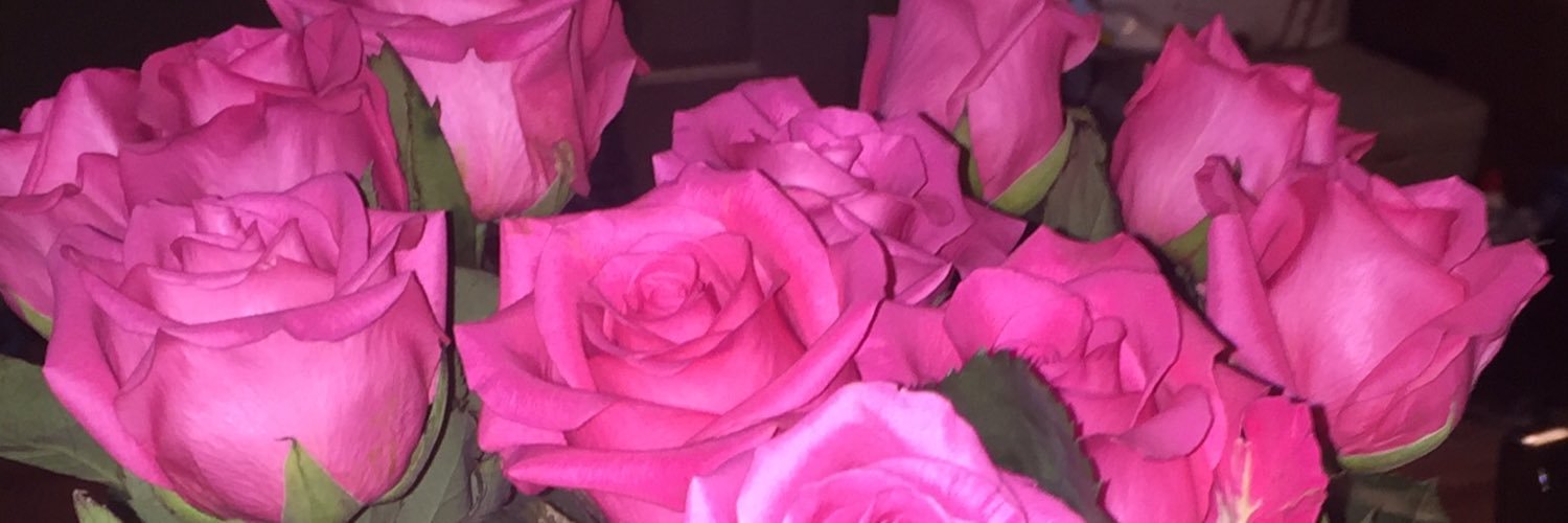 NikkiDochterman's profile banner image